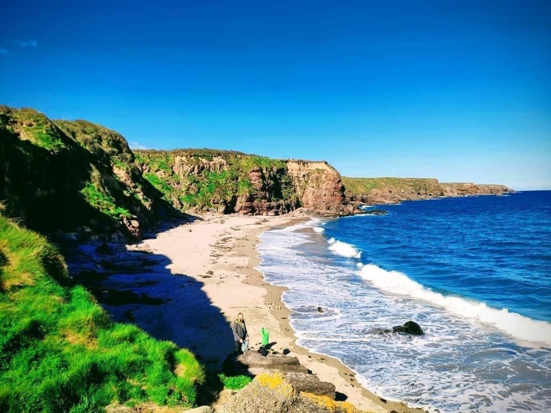 Ballyhack By The Sea Arthurstown Dış mekan fotoğraf
