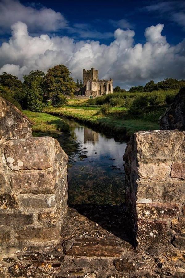 Ballyhack By The Sea Arthurstown Dış mekan fotoğraf