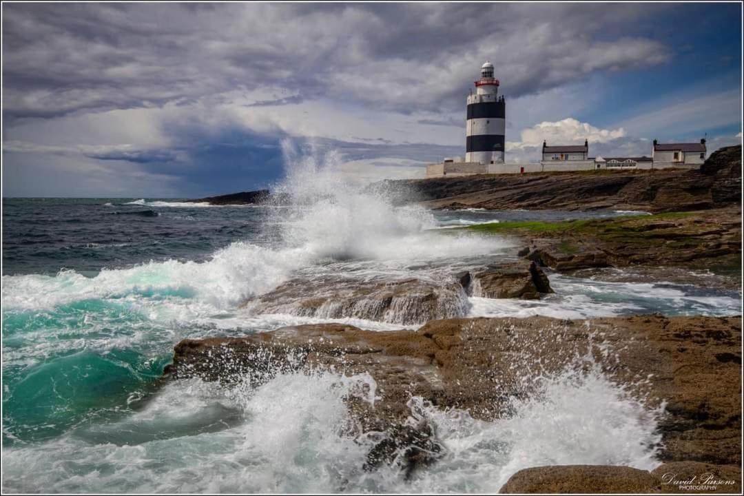 Ballyhack By The Sea Arthurstown Dış mekan fotoğraf