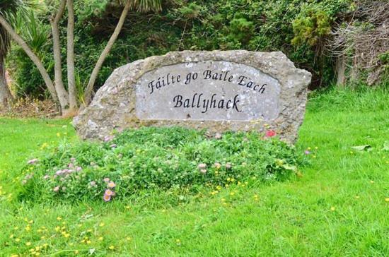 Ballyhack By The Sea Arthurstown Dış mekan fotoğraf